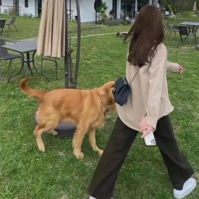 杀妻秘笈